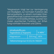 Magnesium Pulver